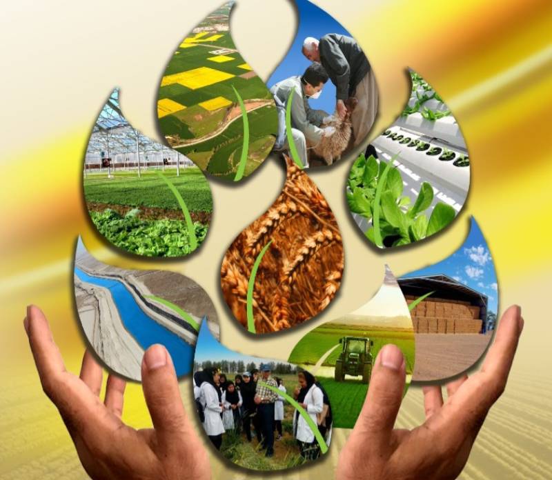 مدیریت برتر جهاد کشاورزی معرفی و تقدیر شد